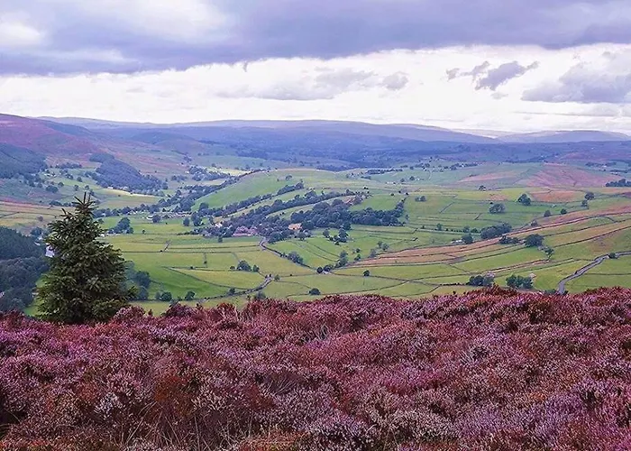 Appartement The Holt - Ilkley, Location, Stylish Leeds (West Yorkshire)